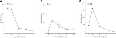 Single cell analysis reveals satellite cell heterogeneity for proinflammatory chemokine expression